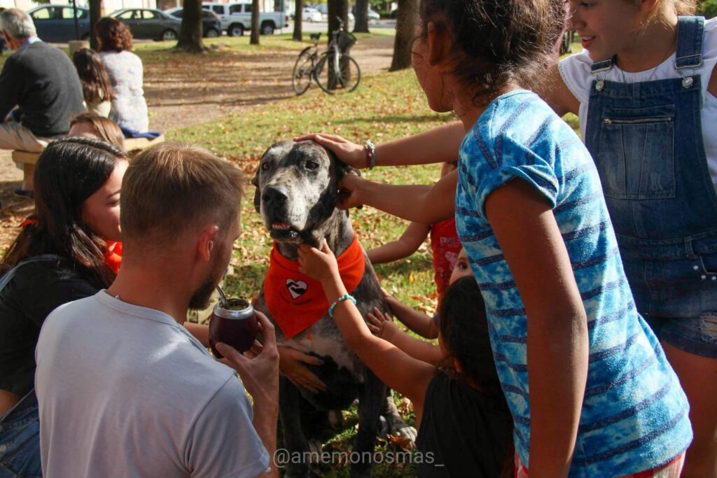 Corazones-vagabundos-web (33)
